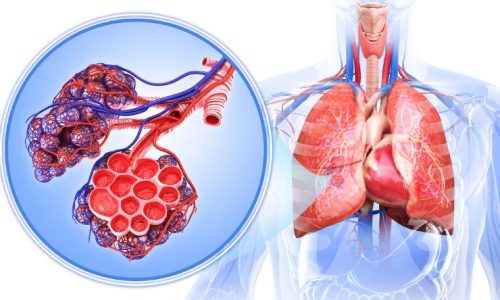 Homoeopathy for Respiratory Allergies